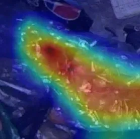 The same crop with a heat map showing where the model looked