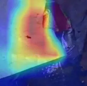 The same crop with a heat map showing where the model looked